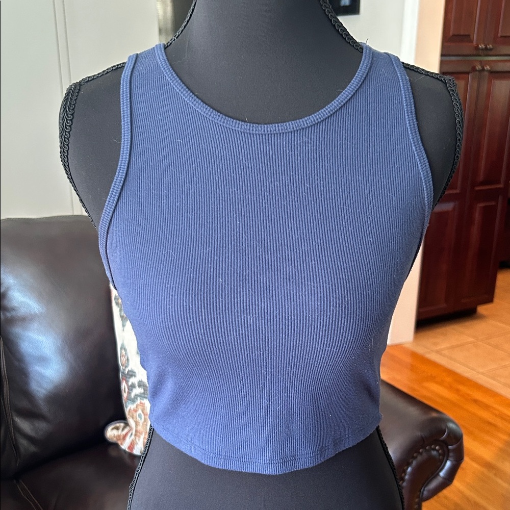 American Eagle Outfitters Blue Ribbed Tank Top